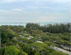 Meyer Road (D15), Condominium #548079861